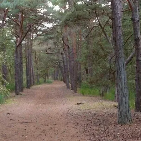 Igelring 47 Og Scheidemann Gm 69821 아파트 *